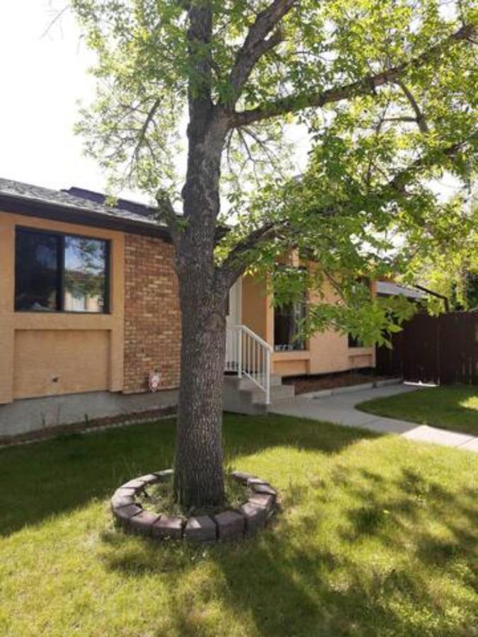 Cozy Home With Comfortable Beds And Fully Equipped Kitchen 15 Mins Drive From Airport, Downtown, Sait And U Of C And 80 Min Drive To Banff YYC Dış mekan fotoğraf